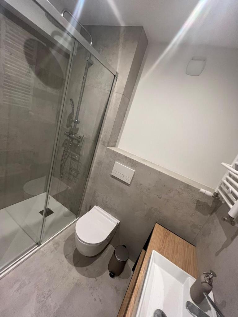 Alex - Plac Wolnosci 6 Apartment พอซนาน ภายนอก รูปภาพ